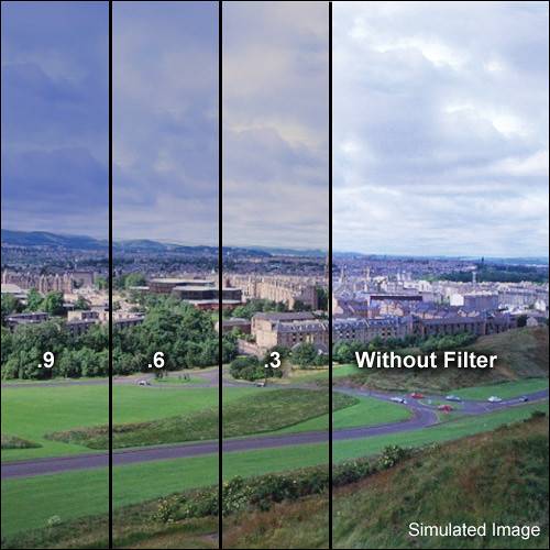 LEE Filters Combination 81EF with Soft-Edge Graduated ND Resin Filter (4 x 6", 2-Stop)