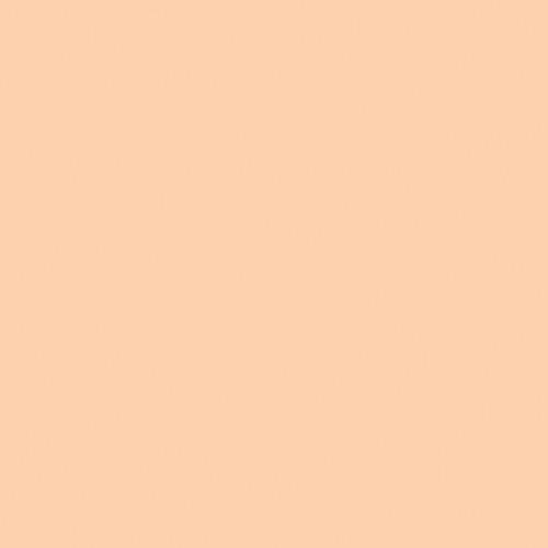 Rosco Color Effects Filter Kit (20 x 24")