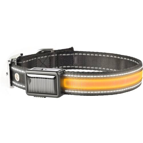 Brite-Strike Solar/USB Lighted Dog Collar (Medium)