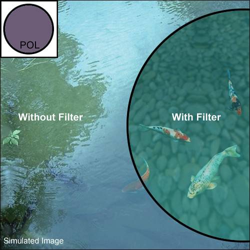 Hoya Circular Polarizer Filter (86mm)