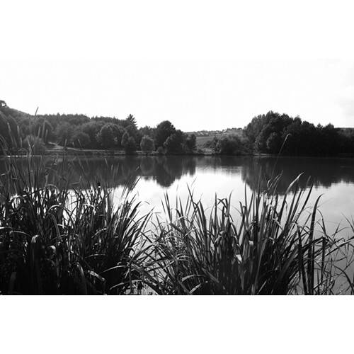 B+W 830/093 IR Black Red Filter (37mm)