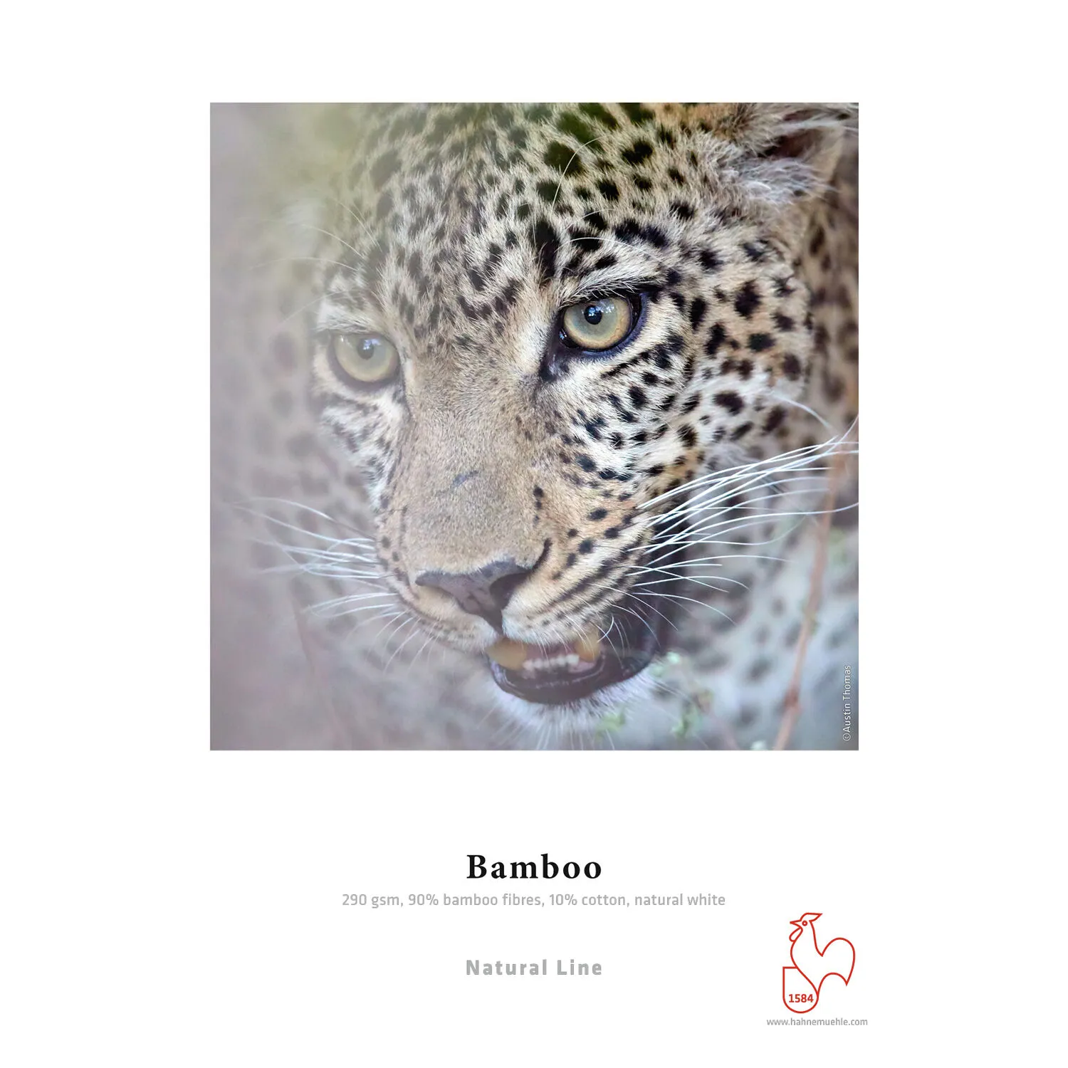 Hahnemuhle Bamboo Fine Art Paper (64" x 39' Roll)