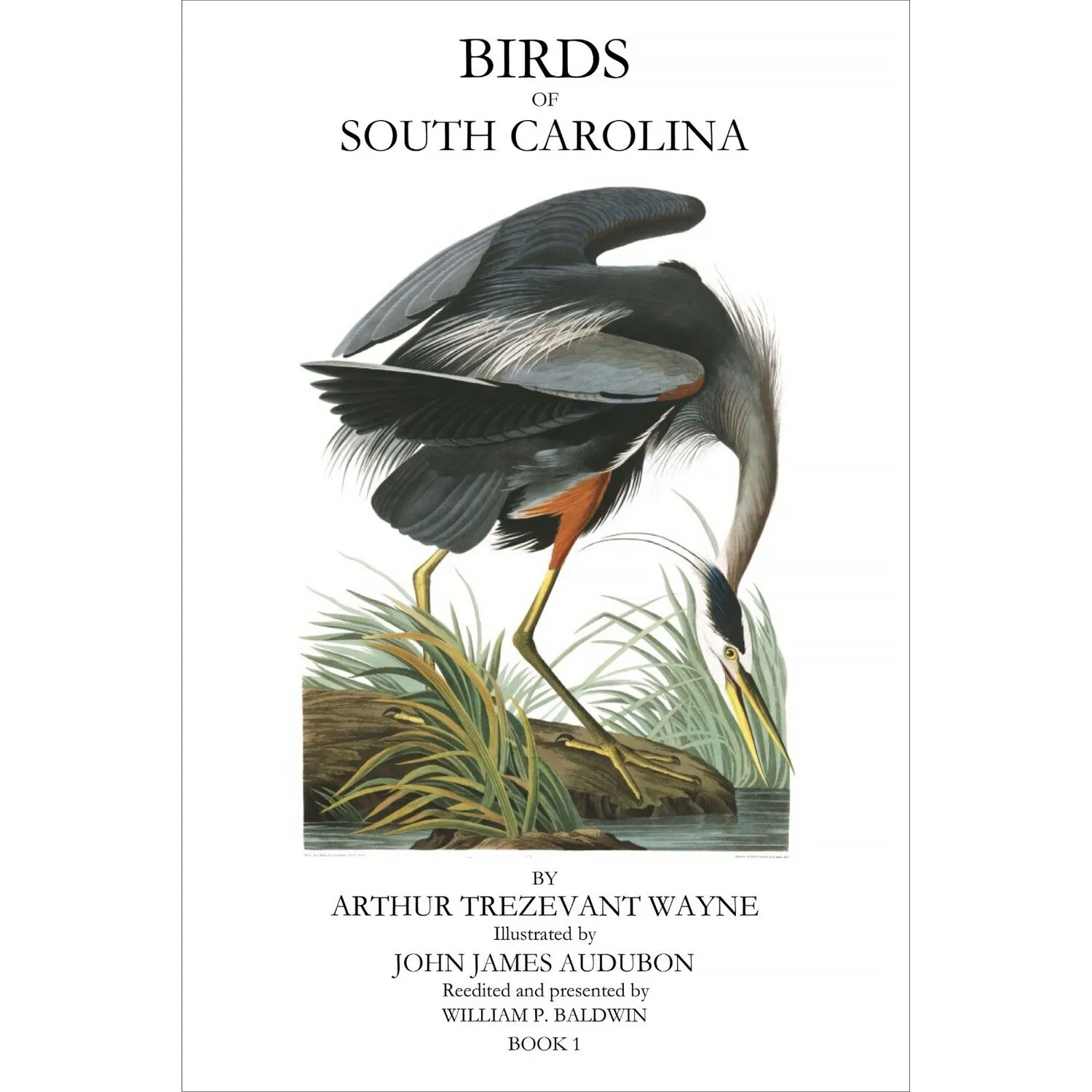 LCIX Editions Birds of South Carolina Vol. 1