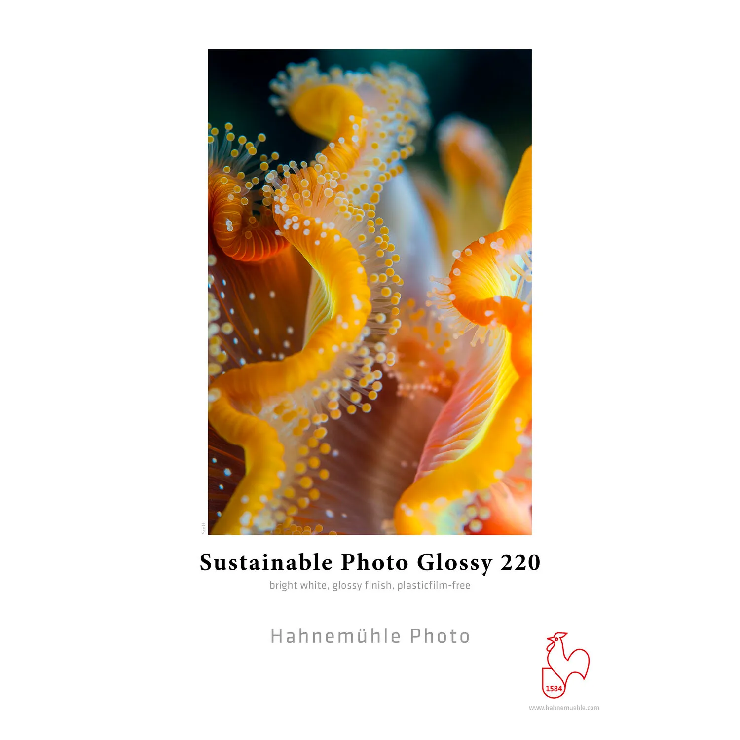 Hahnemuhle Sustainable Photo Glossy 220 Paper (17" x 100' Roll)