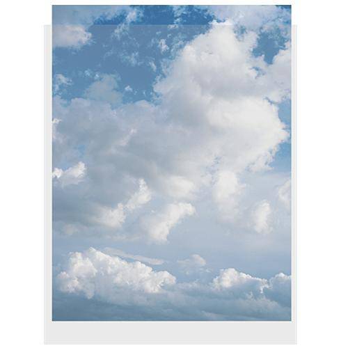 ClearFile Print Protector (16 x 20", 10-Pack)