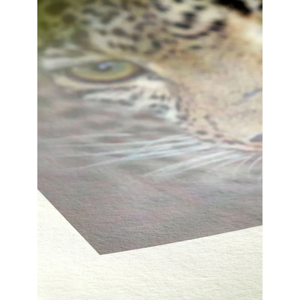 Hahnemuhle Bamboo Fine Art Paper (44" x 39' Roll)